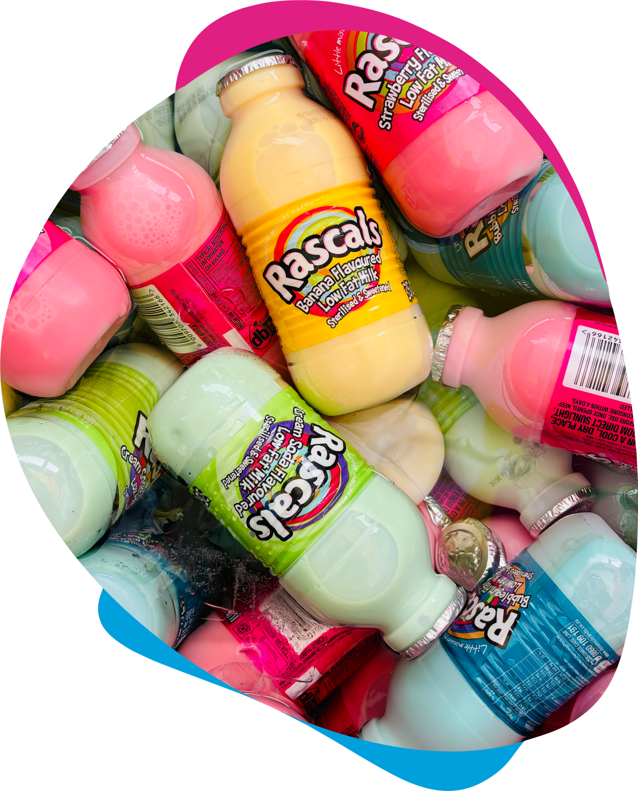 Rascals Flavoured Low Fat Milk 6-pack (6x350ml)