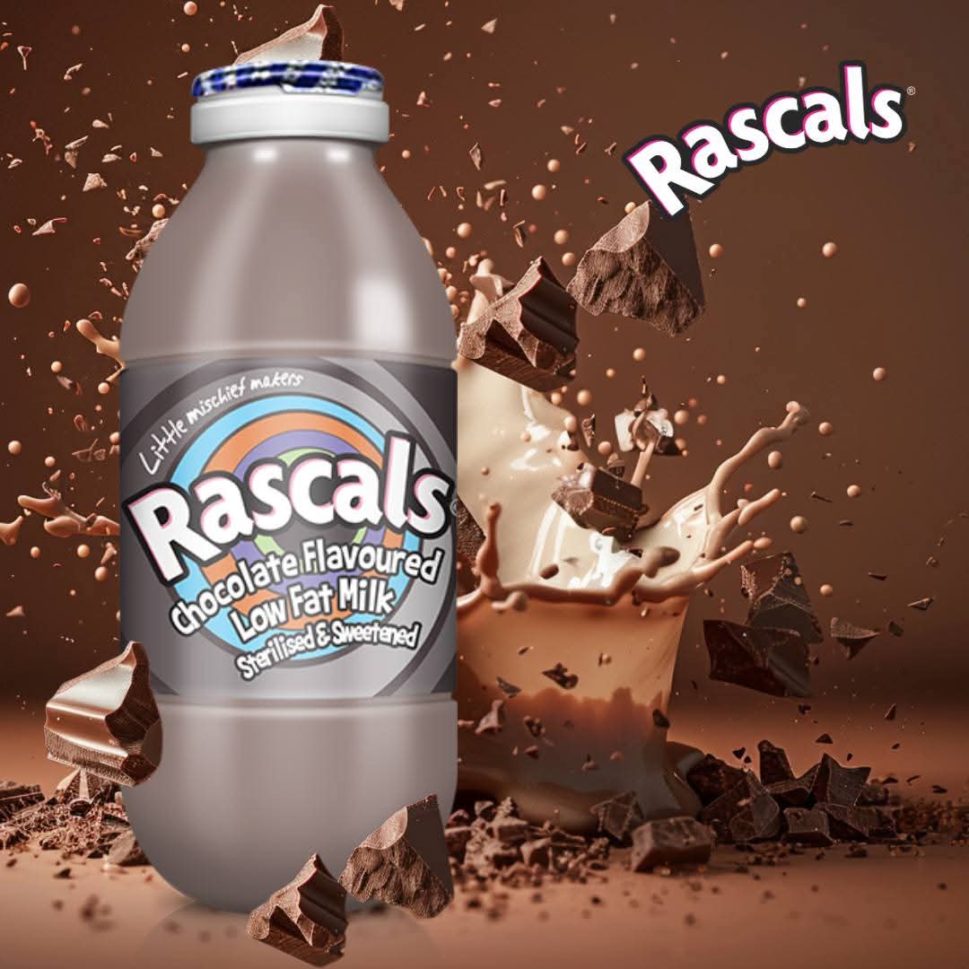 Rascal Choc Rascals Flavoured Low Fat Milk 6-pack (6x350ml) – SY DISCOUNT WAREHOUSE