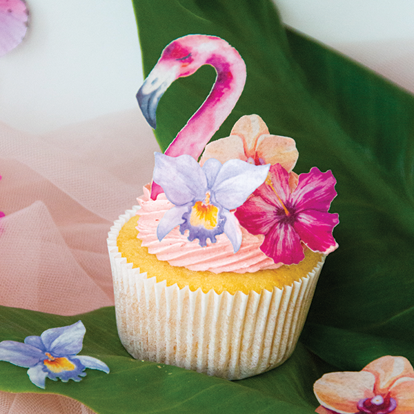 Edible Wafer Paper Sets