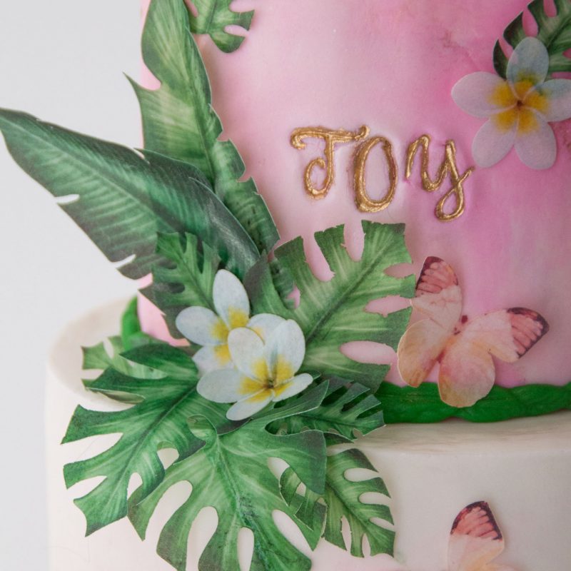 Edible Wafer Paper Sets