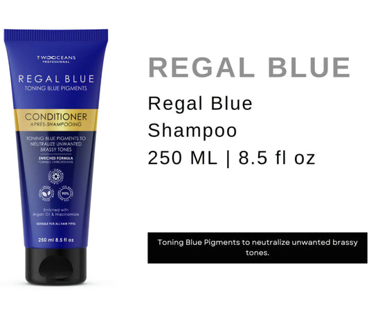 Two Oceans Professional Regal Blue Shampoo 250ml