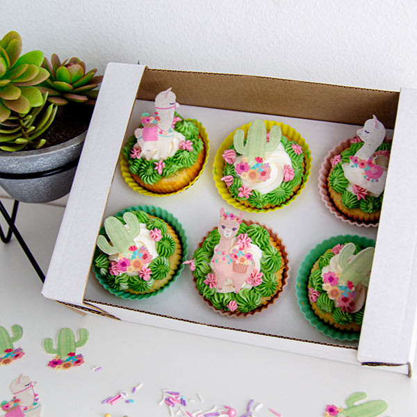 Edible Wafer Paper Sets