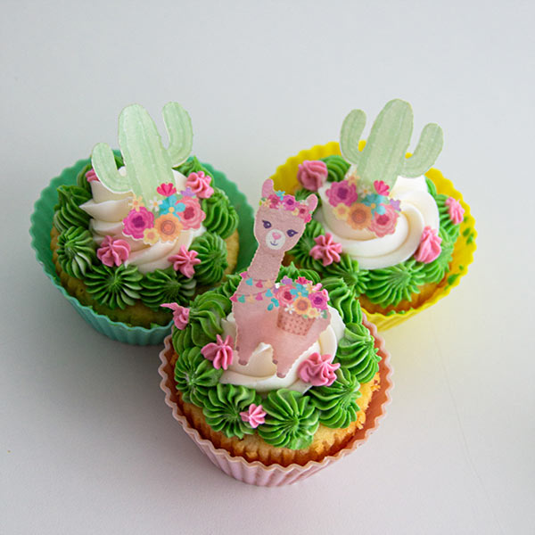 Edible Wafer Paper Sets