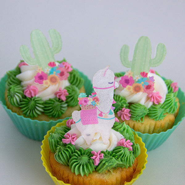 Edible Wafer Paper Sets