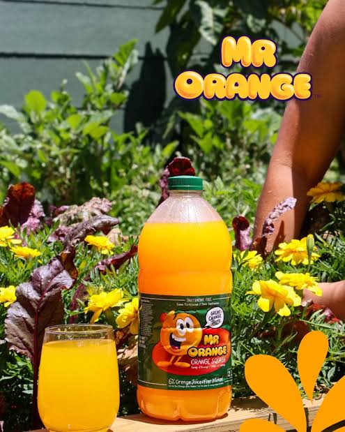 Mr Orange 2L Concentrate